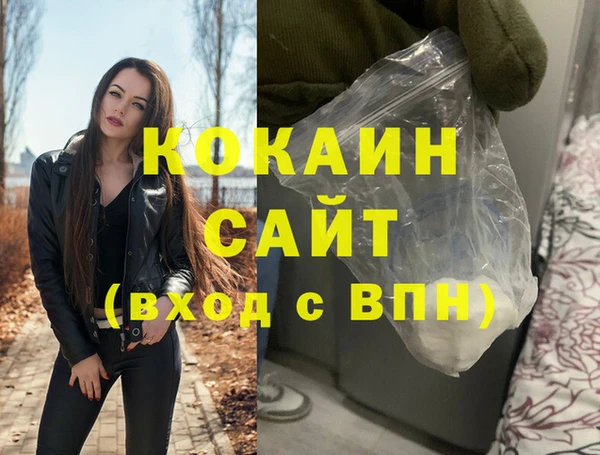 амф Бородино