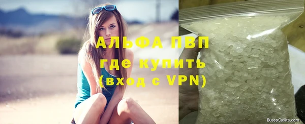 спиды Богородицк