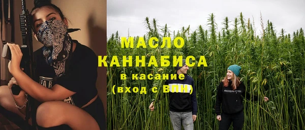 амф Бородино