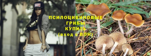 apvp Бугульма