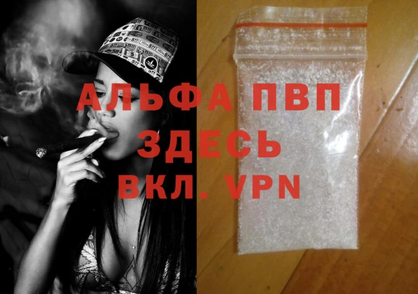 амф Бородино