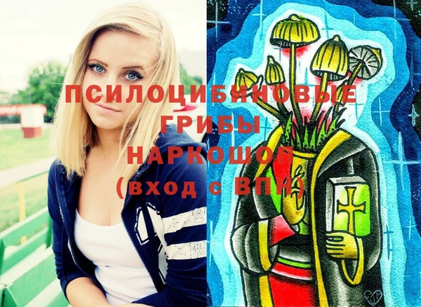 амф Бородино