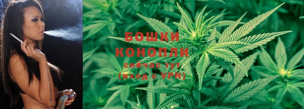 винт Осинники