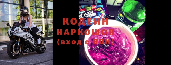 амф Бородино