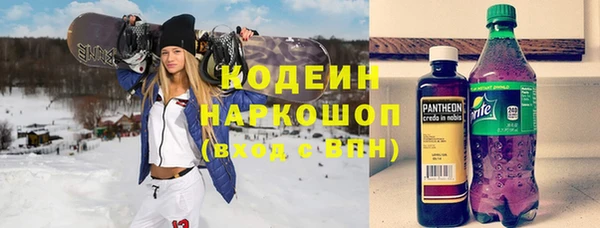 амф Бородино