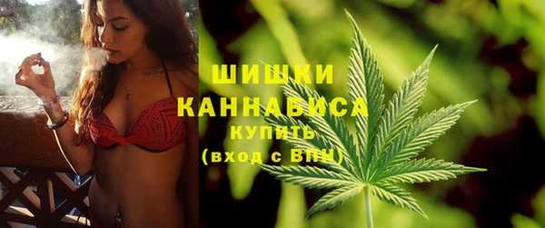 амф Бородино