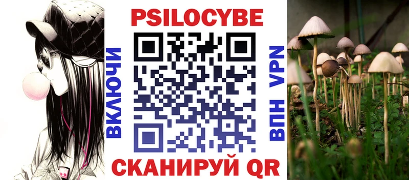 Псилоцибиновые грибы Psilocybine cubensis  Дегтярск 